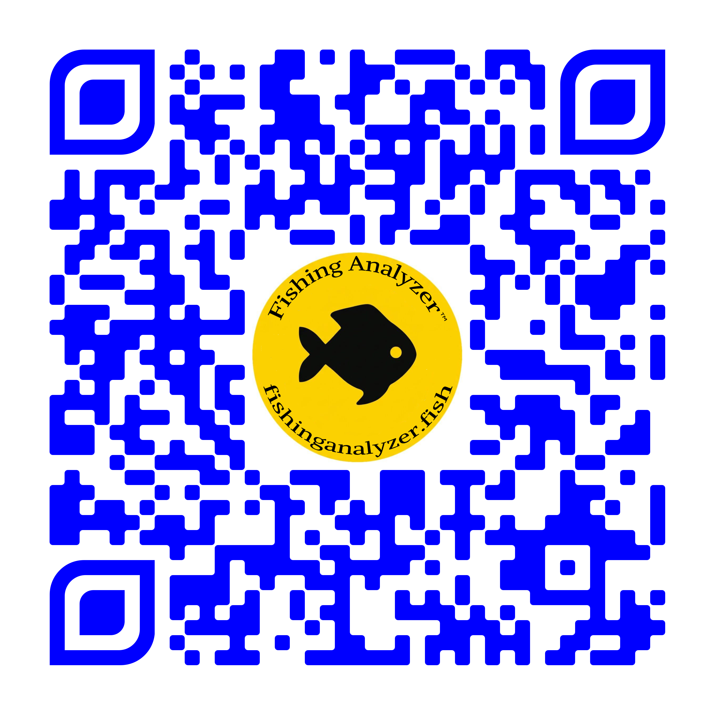 Scan to Download Android
